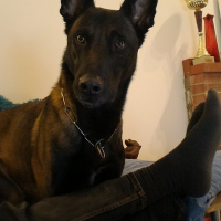 Photo #273908 de Inouk