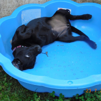 Photo #273959 de Mya
