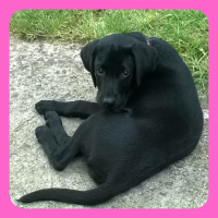Photo #273960 de Mya