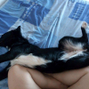 En pleine sieste