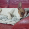 L'heure de la sieste