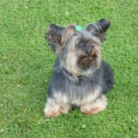 Photo #274193 de Cooper