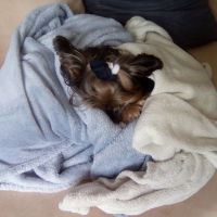 Photo #274194 de Cooper