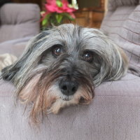 Photo #274203 de Leila