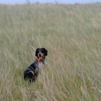 Photo #274233 de Markus