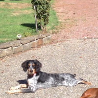 Photo #274234 de Markus
