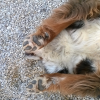Photo #274247 de Eva