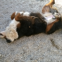 Photo #274248 de Eva