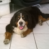 Photo #274249 de Eva