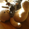 jazie et son doudou