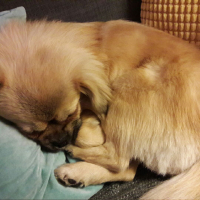 Photo #274348 de Leïa