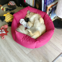 Photo #274349 de Leïa