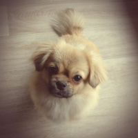 Photo #274353 de Leïa