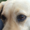 Un regard qui en dit long