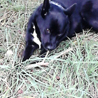 Photo #274421 de Lahica
