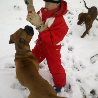 Fox et Stella - 12/2010