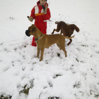 Fox et Stella - 12/2010