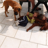 Fox, Stella et les enfants - 04/2011