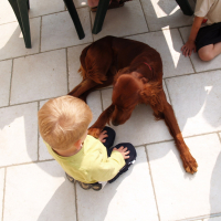 Fox, Stella et les enfants - 04/2011