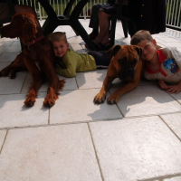 Fox, Stella et les enfants - 04/2011