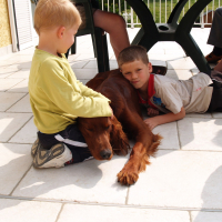 Fox, Stella et les enfants - 04/2011