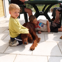 Fox, Stella et les enfants - 04/2011