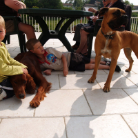 Fox, Stella et les enfants - 04/2011