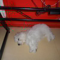 Photo #274614 de mika
