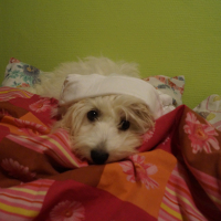 Photo #274618 de mika