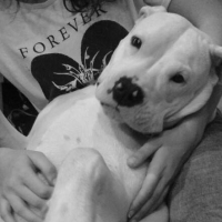 Photo #274619 de jahia