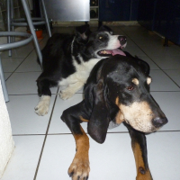 Photo #274658 de CHARLY
