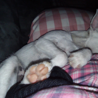 Photo #274727 de Lucie