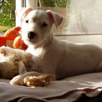 Photo #274728 de Lucie