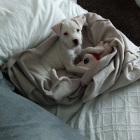 Photo #274729 de Lucie