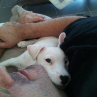 Photo #274730 de Lucie