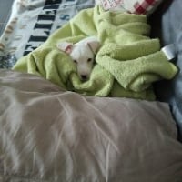 Photo #274731 de Lucie
