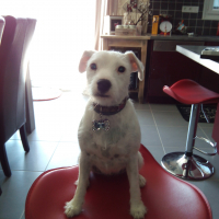 Photo #274732 de Lucie