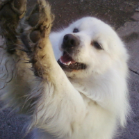 Photo #274788 de ATHOS