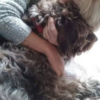 Photo #274841 de Gustave