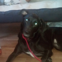 Photo #274846 de shanone