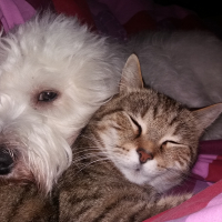 Photo #274886 de lucky