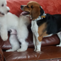 Photo #274887 de lucky
