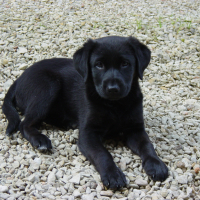 Photo #274920 de Ninie