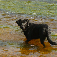 Photo #274921 de Ninie