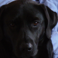 Photo #274923 de Ninie