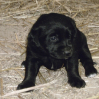Photo #274924 de Ninie