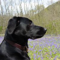 Photo #274925 de Ninie