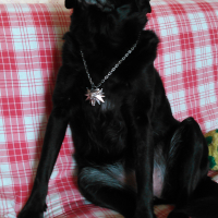 Photo #274927 de Ninie