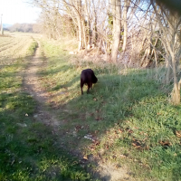 Photo #274942 de Furry