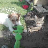 Photo #274965 de Fidèle
